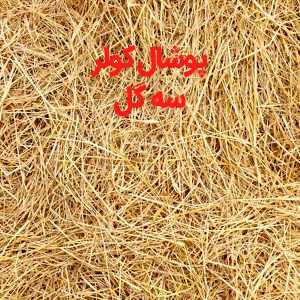 پوشال